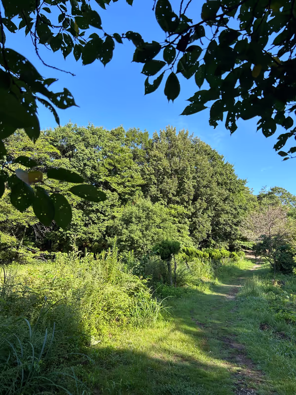 Toyama Private Tour - Mt. Futagami, start point