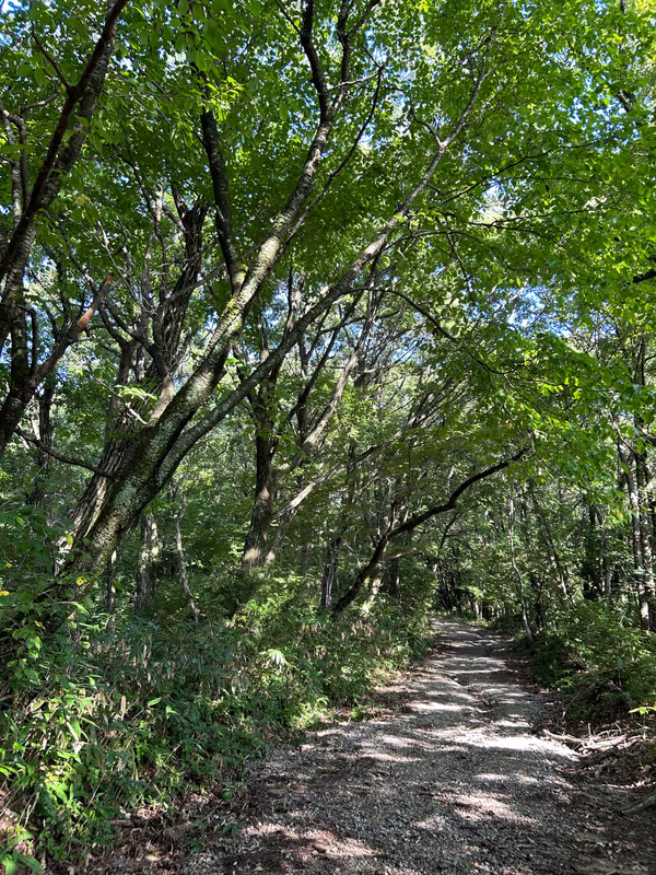 Toyama Private Tour - Mt. Futagami, trail road