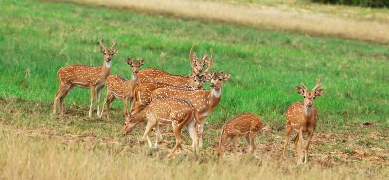 Trincomalee Private Tour - 