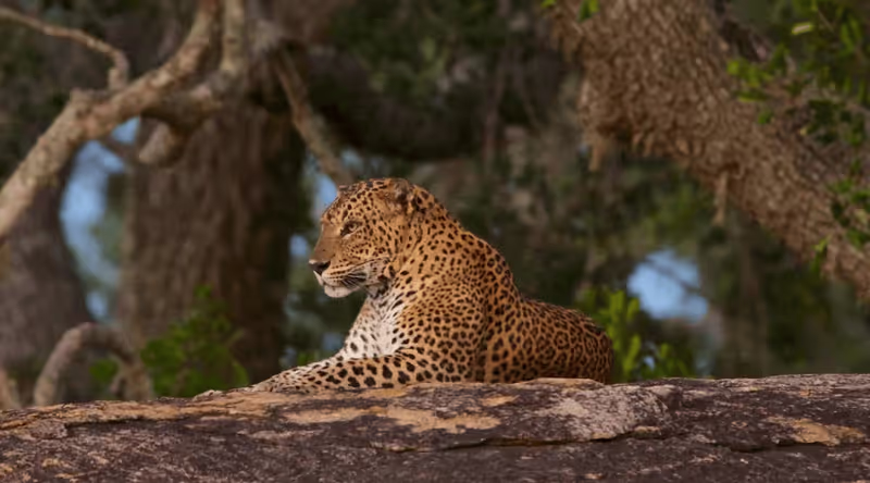 Amparai Private Tour - 