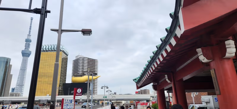 Tokyo Private Tour - 