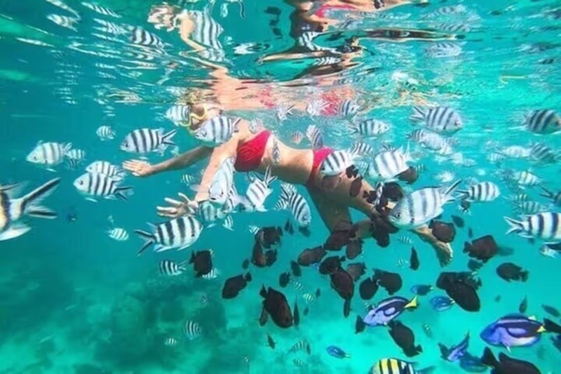 Zanzibar Private Tour - 