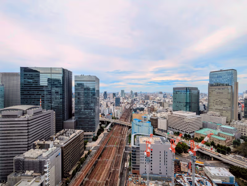 Tokyo Private Tour - Tokyo station from above