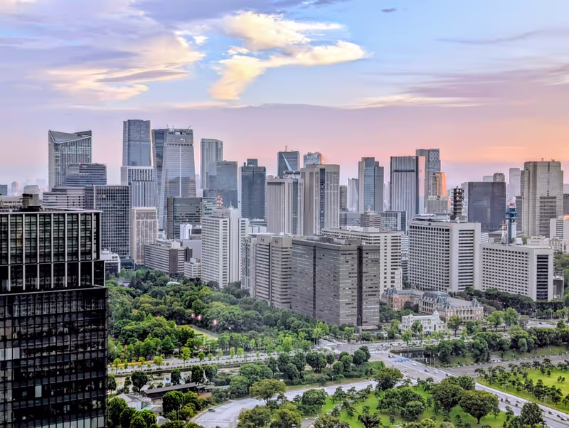 Tokyo Private Tour - Tokyo skyview