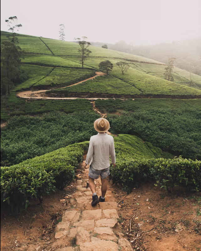 Ella Private Tour - 