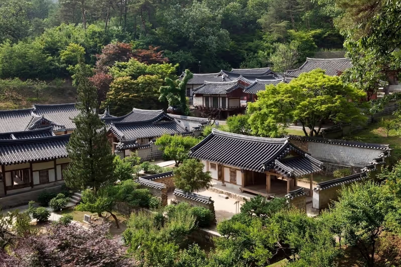 Daegu Private Tour - 