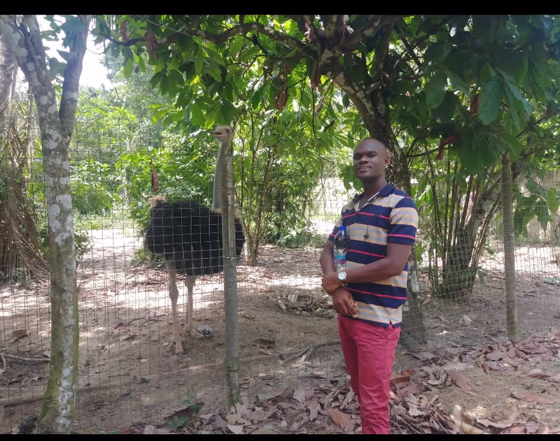 Central Private Tour - Assin Kushea Palace Mini Zoo