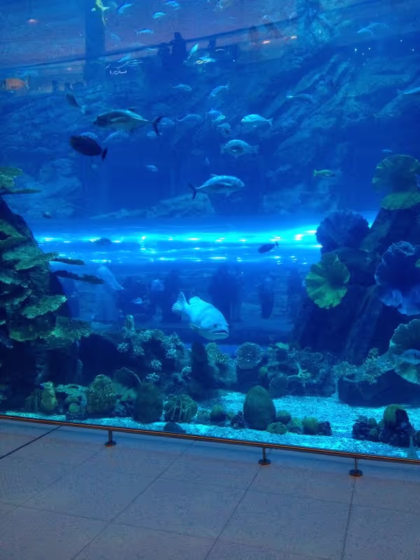 Dubai Private Tour - Dubai Mall aquarium