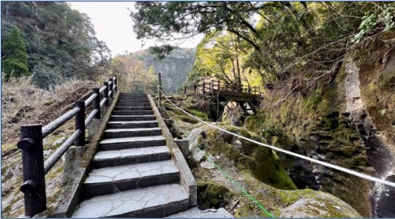 Fukuoka Private Tour - Promenade2