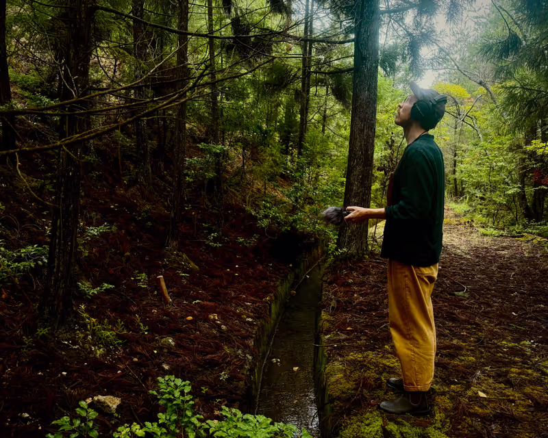 Kyoto Private Tour - Recording the sounds of the forest