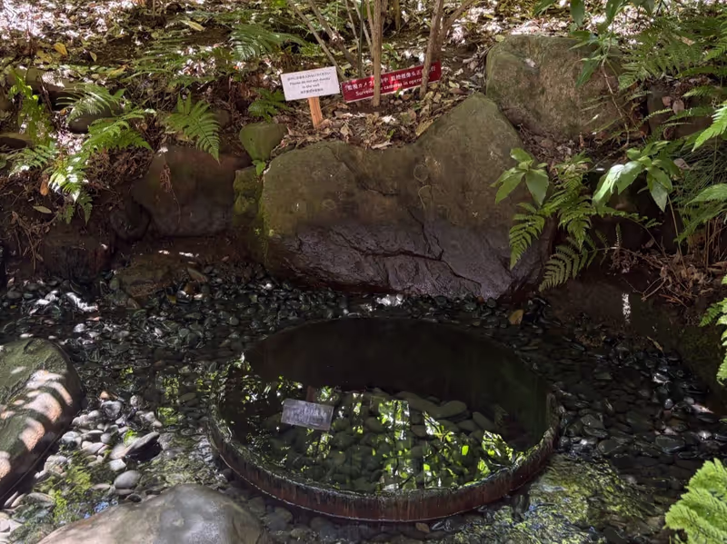 Tokyo Private Tour - Kiyomasa’s Well