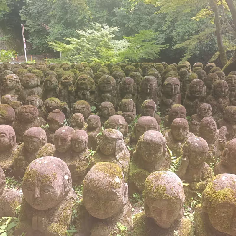 Kyoto Private Tour - 