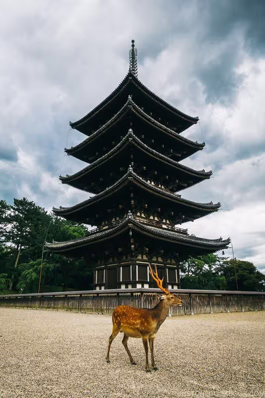Nara Private Tour - 