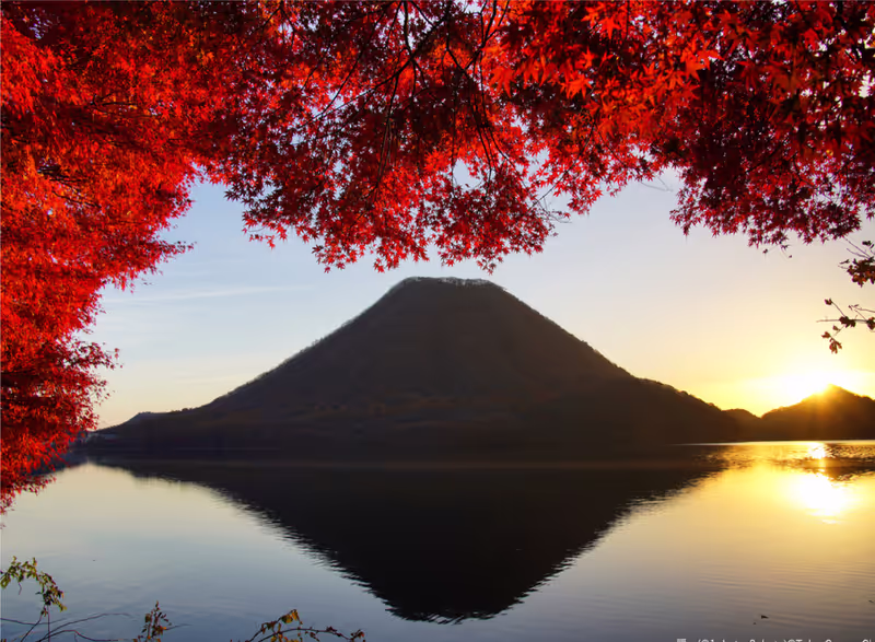 Tochigi Private Tour - 