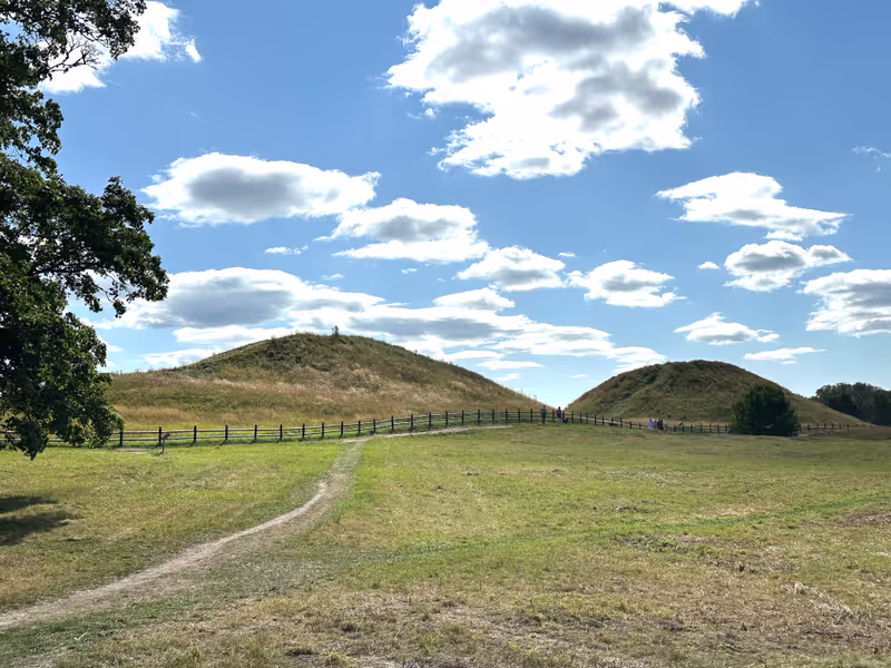 Stockholm Private Tour - Old Uppsala burial mounds