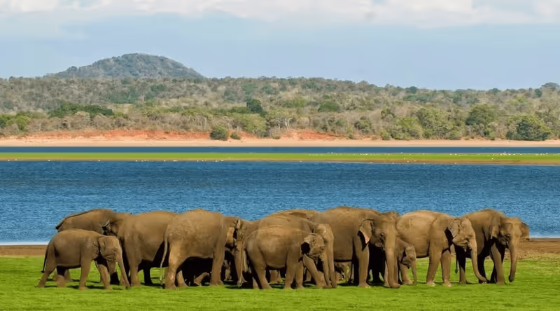 Colombo Private Tour - 