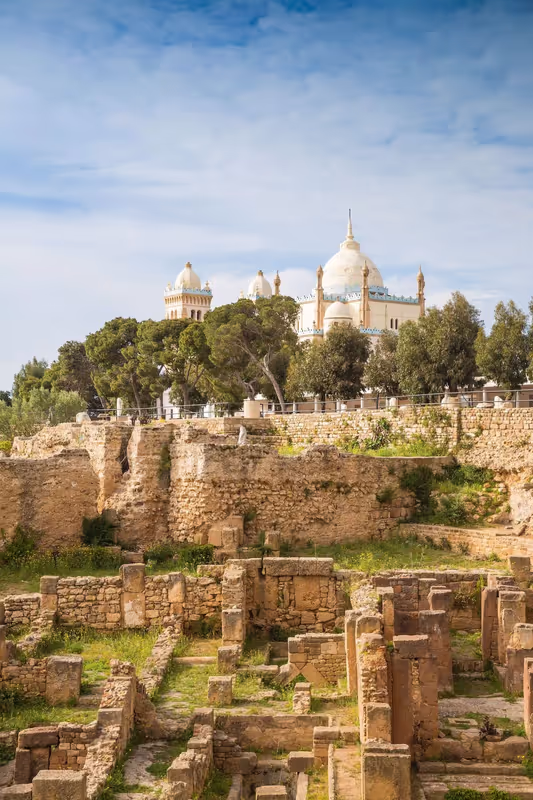Tunis Private Tour - 