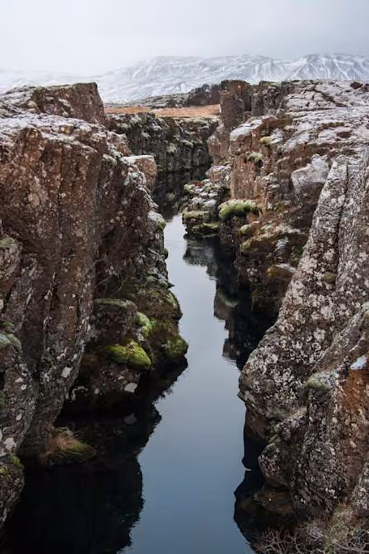 Reykjavik Private Tour - 