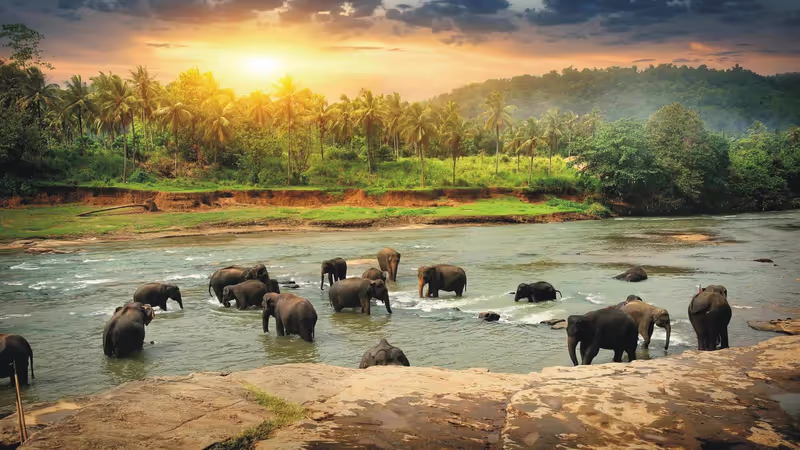 Colombo Private Tour - 