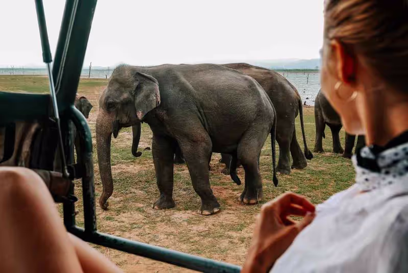 Colombo Private Tour - 