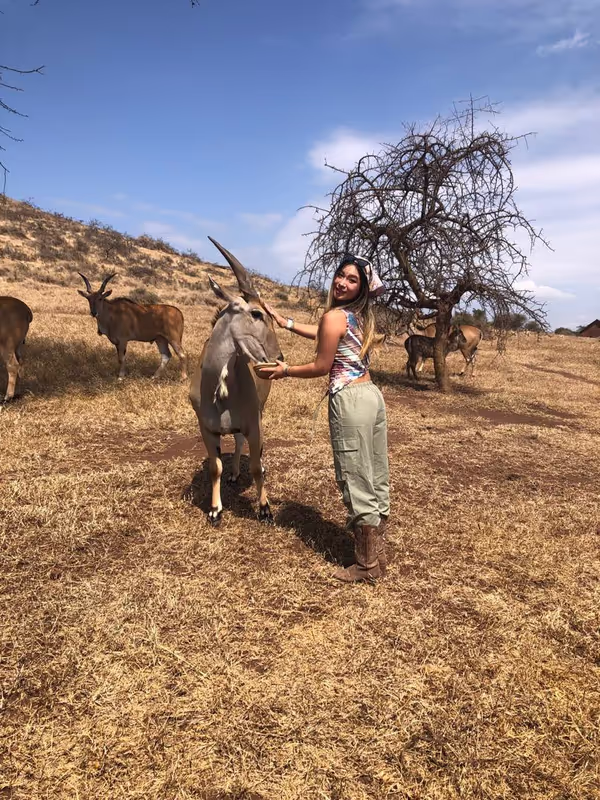 Moshi Private Tour - eland