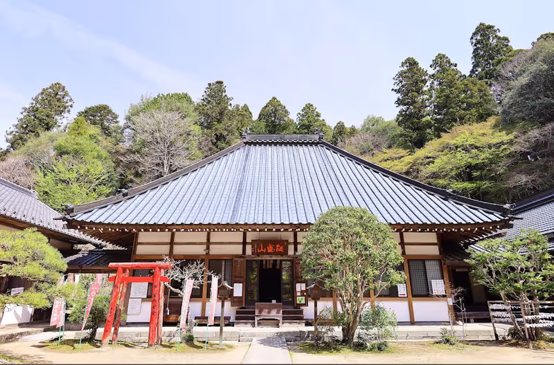 Nagoya Private Tour - 