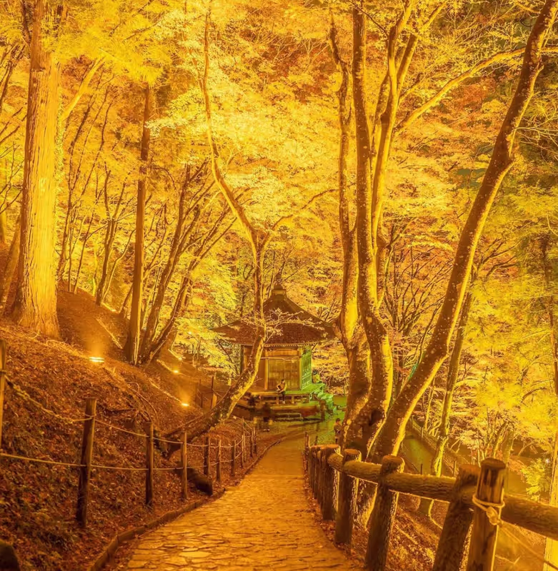 Nagoya Private Tour - 