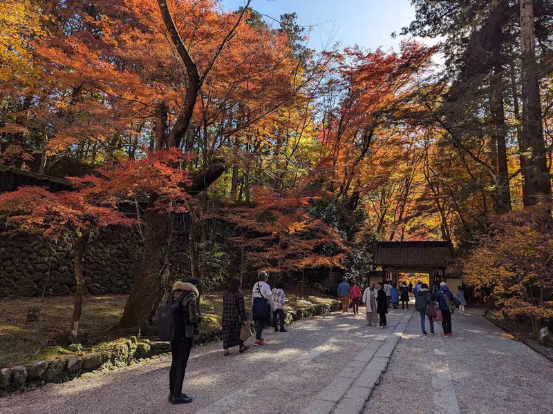 Nagoya Private Tour - 