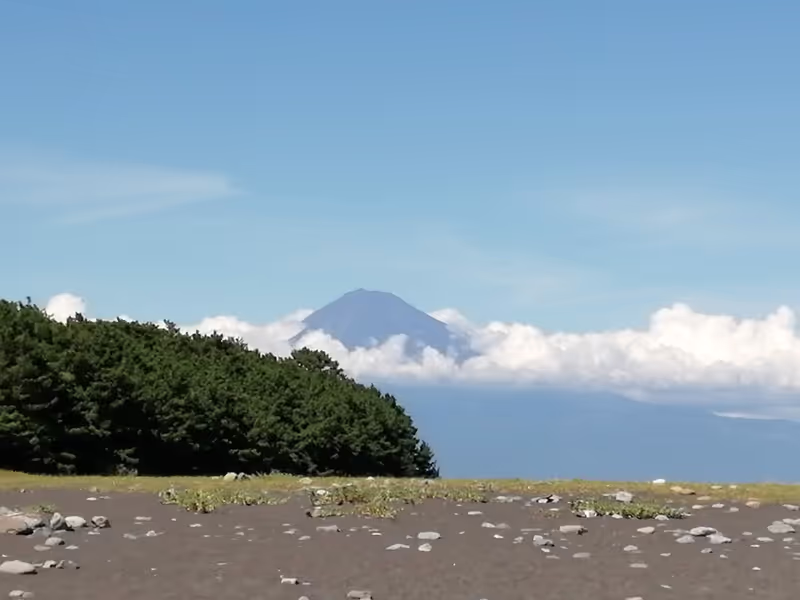 Shimizu Private Tour - Miho Pine Groves
