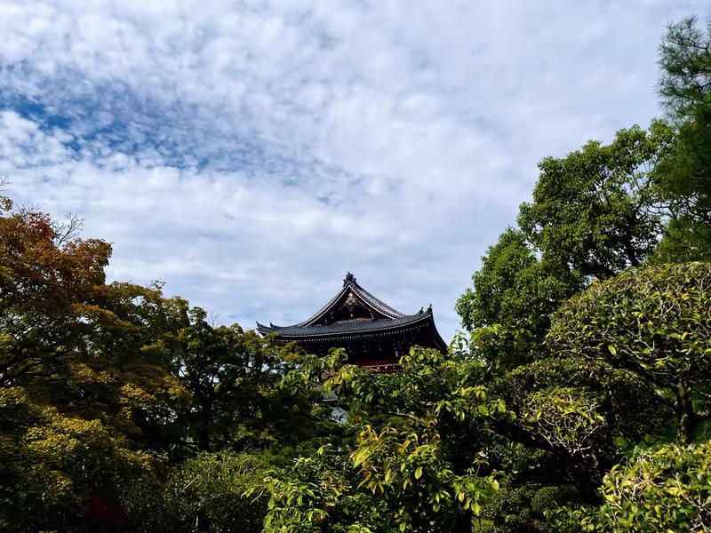 Kyoto Private Tour - The temple peeking through the trees