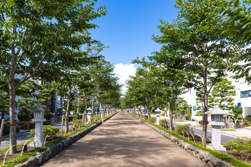Yokohama Private Tour - stroll down Kamakura’s historic streets