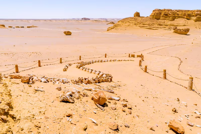 Cairo Private Tour - 