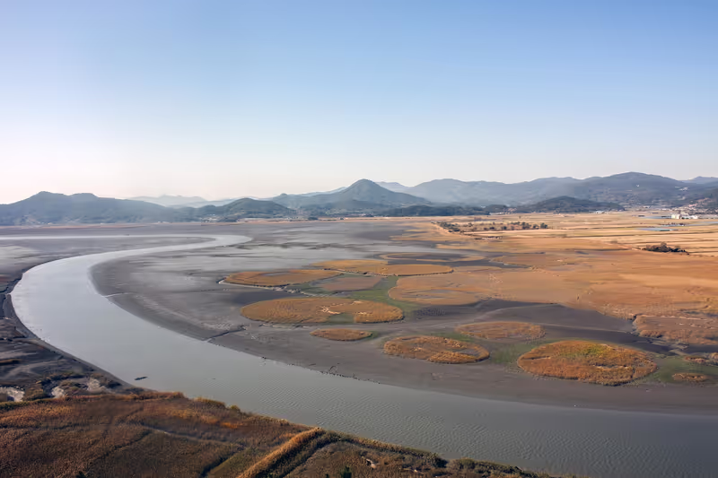 Gwangju Private Tour - Suncheonman Bay Wetland