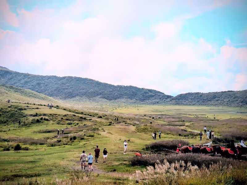 Kumamoto Private Tour - Glasslands