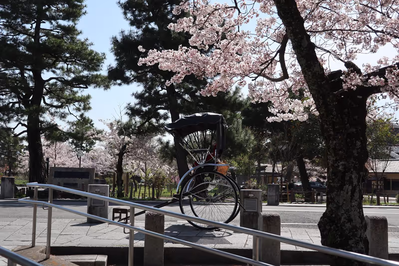 Osaka Private Tour - 