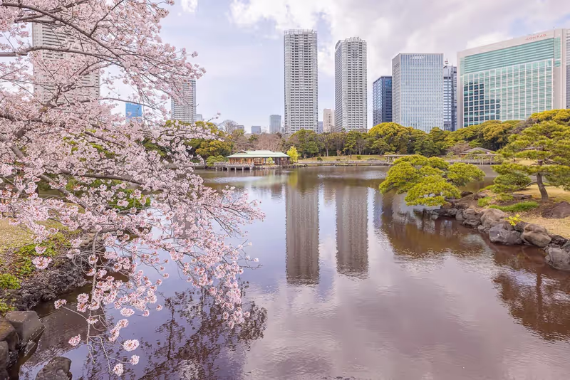 Tokyo Private Tour - Hamarikyu Gardens - 3