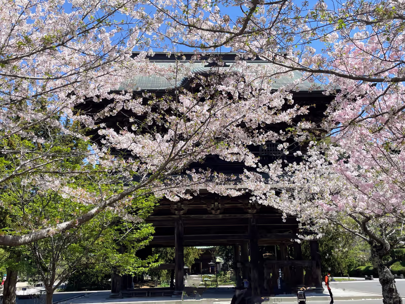 Kamakura Private Tour - 