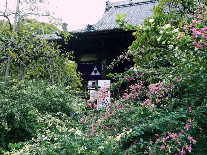 Kamakura Private Tour - 