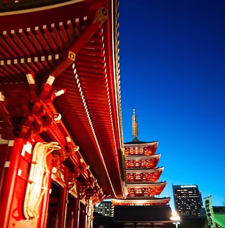Tokyo Private Tour - Die fünfstöckige Pagode und Hozo-Tor