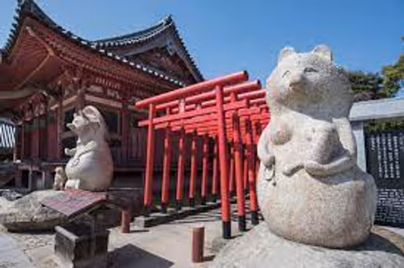 Kagawa Private Tour - 