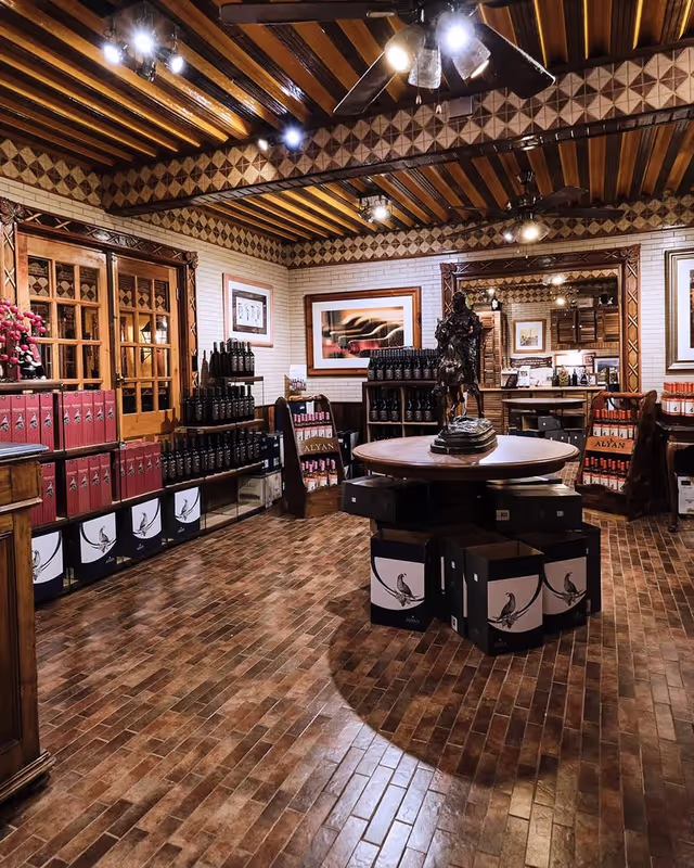 Santiago Private Tour - 