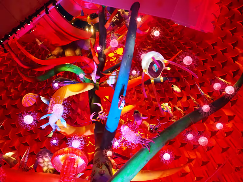 Osaka Private Tour - Inside of The Tower of The Sun