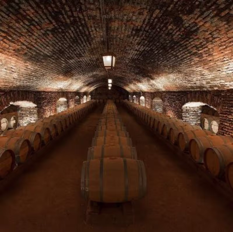 Santiago Private Tour - 