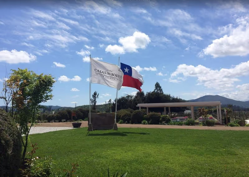 Santiago Private Tour - 