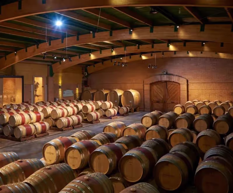 Santiago Private Tour - 