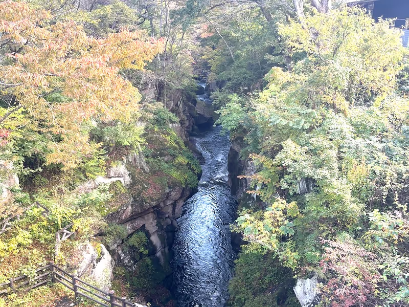 Miyagi Private Tour - The gorge