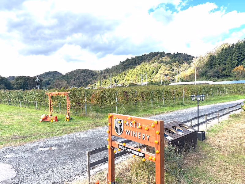 Miyagi Private Tour - Vineyard