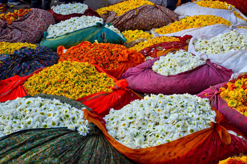 Jaipur Private Tour - Jaipur's flower Market