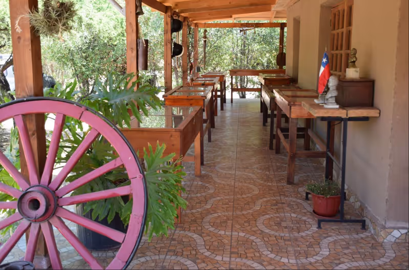 Santiago Private Tour - 