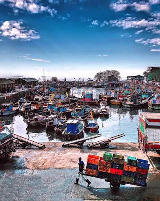 Mumbai Private Tour - Sasson dock